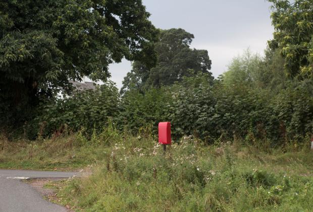 Barbara Sánchez Barroso, Cartes des del Bosc