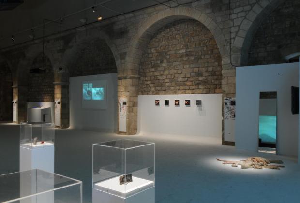 Permeable: el significat és promiscu