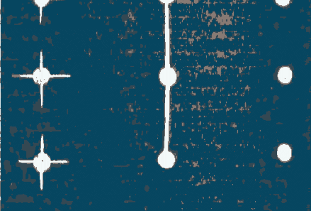 Protocols d'experiència