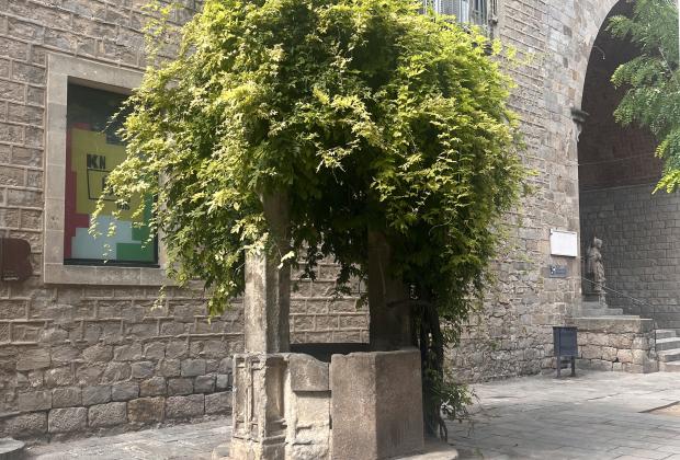 Paradesitjant: dibuixant un món desitjable més enllà de les fronteres