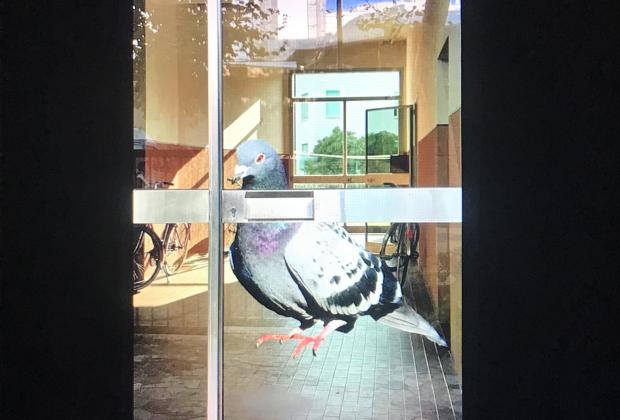 ANA MARTÍNEZ FERNÁNDEZ