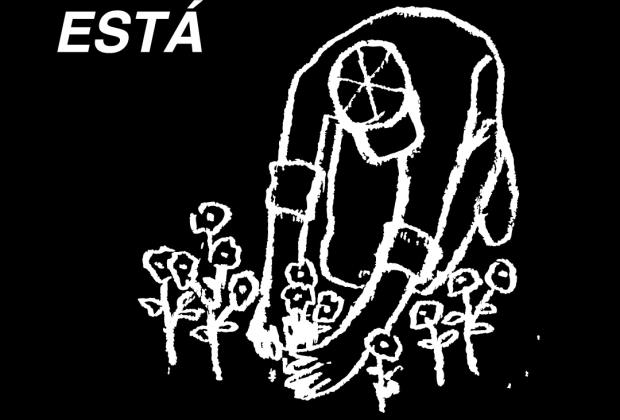 Idensitat