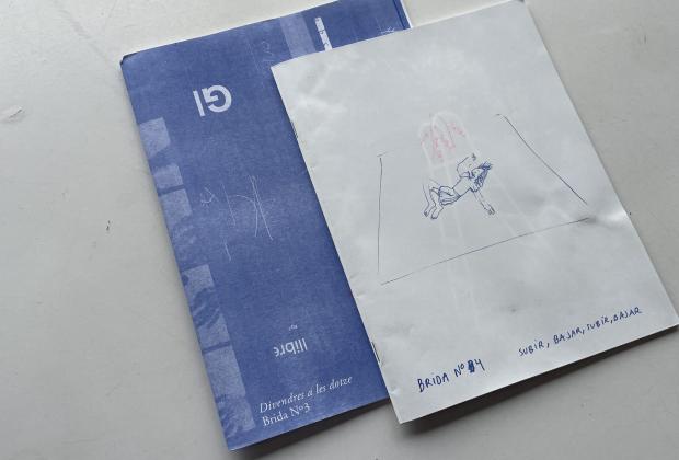 revista-brida