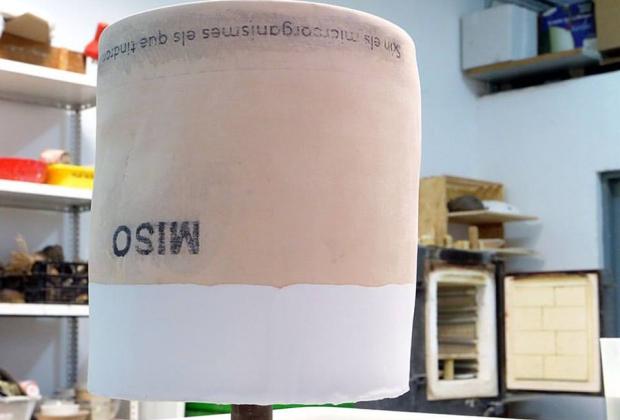 Són els microorganismes els que tindran l&#039;última paraula