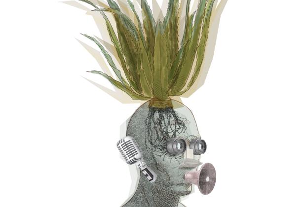 il•lustració: Camilo Pazmiño