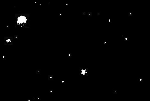 Martin Vitaliti, Ampo