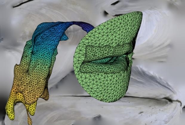 Taller: Un canto de nácar (bis), de Carlos Monleón