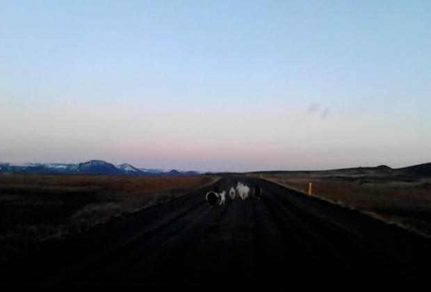 Presentació del projecte Notes on a novel (that I am not going to write)l