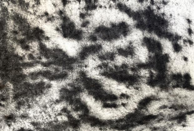 Cartografiar la capella