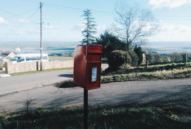 Cartas desde el bosque