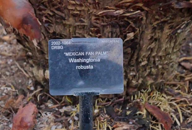 Activitats El Jardí