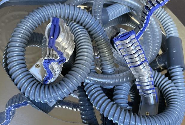 Hipertèlia, Mónica Rikić 