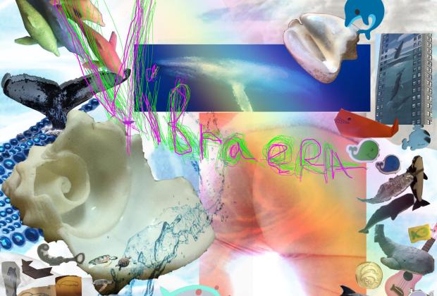 Vibraera, Consol Llupià