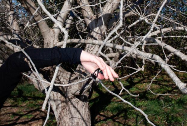 Embolisme por soleá. Diàleg performatiu