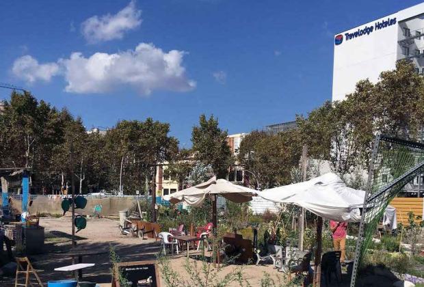  Són els microorganismes els que tindran l&#039;última paraula. Activitat 1: Huerta La Vanguardia