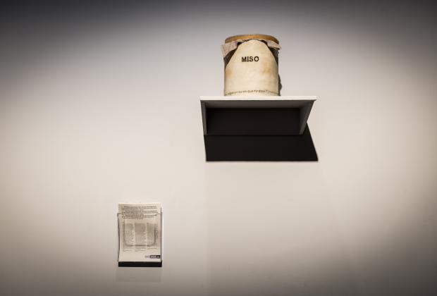 Són els microorganismes els que tindran l’última paraula. Activitat 4: Romeria i Festa del Miso 