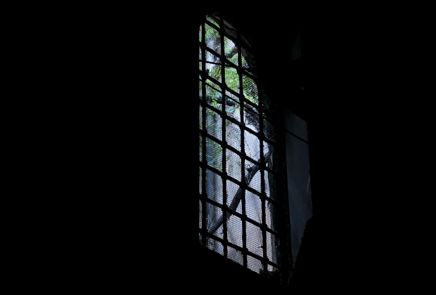 Sofia Montenegro, Maquinal