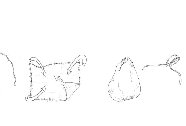 Holobiontes, simbiontes y otras sutilezas – Genealogía tra(n)shumante de bichos de compañía