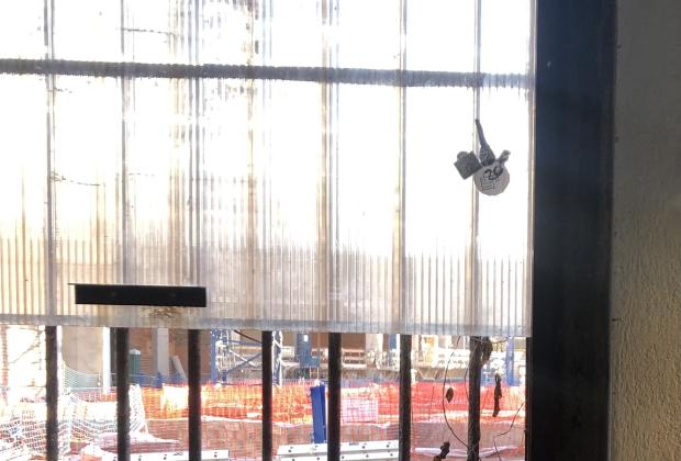 Quan ja no ens escalfa el sol, Zaida Trallero