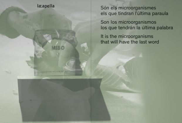 son els microorganismes els que tindran l&#039;última paraula. publicació