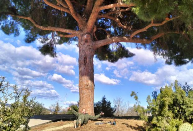 La nit. Embolisme por soleá. Instal·lació