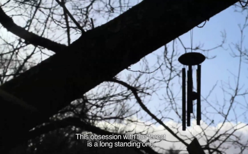 Cartas desde el bosque