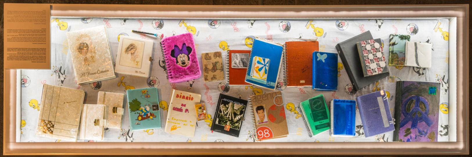 Cultura de dormitorio. Narraciones de adolescencia femenina / Xiana Gómez Díaz