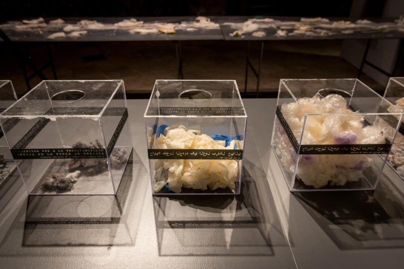 Exposició EN RESIDÈNCIA