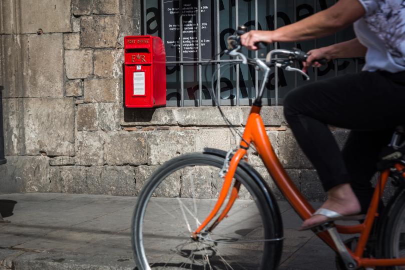 Cartas desde el bosque