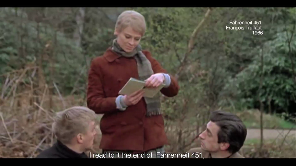 Cartas desde el bosque