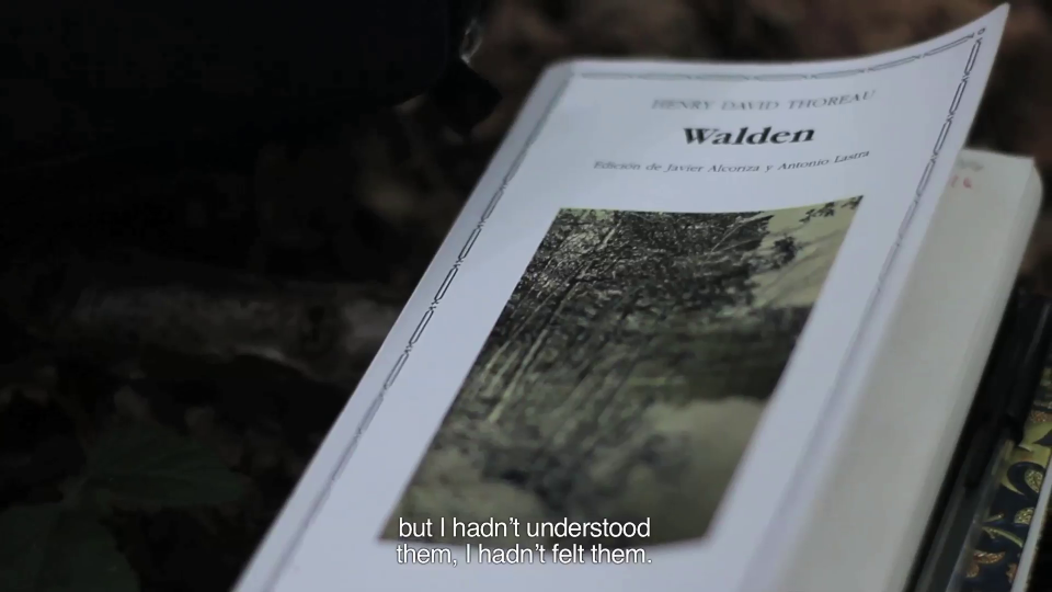 Cartas desde el bosque