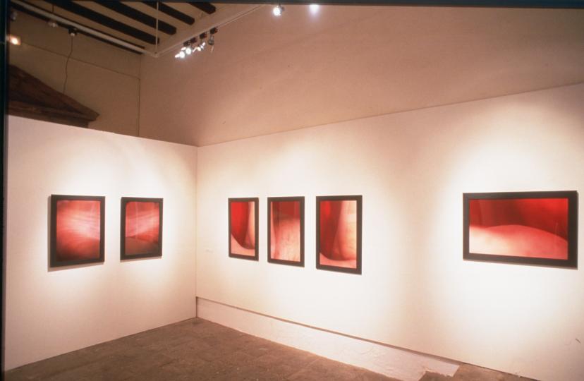 David Saborido