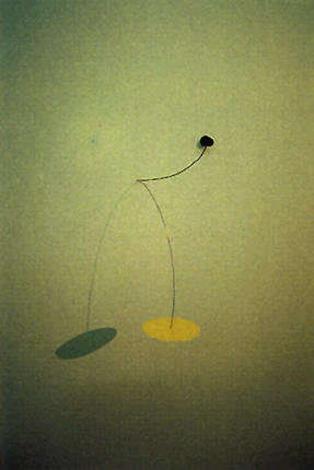 Travessies liminars_Rosa Feliu