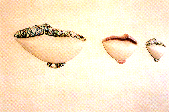 Travessies liminars_Rosa Feliu