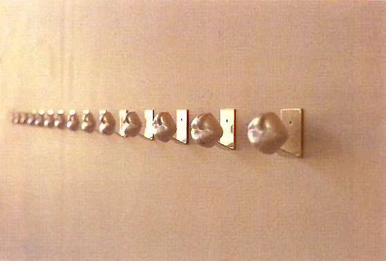 Travessies liminars_Rosa Feliu