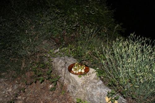 ProdCouchsurfing amb Les Salo's / Les Salonnières