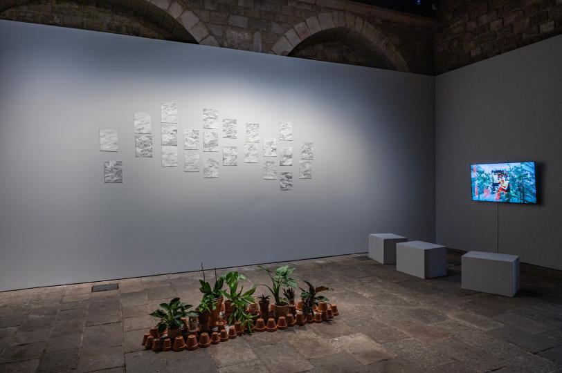 Gian Cruz The Garden of Imaginaries 