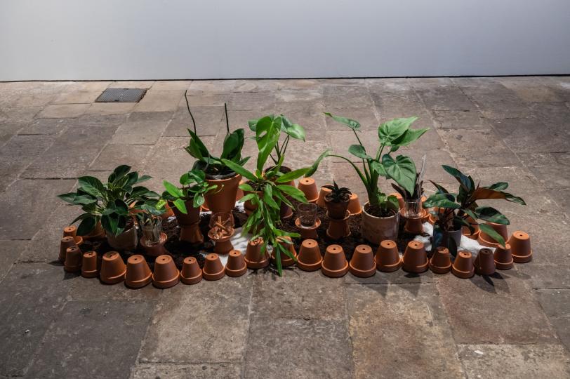 Gian Cruz The Garden of Imaginaries 