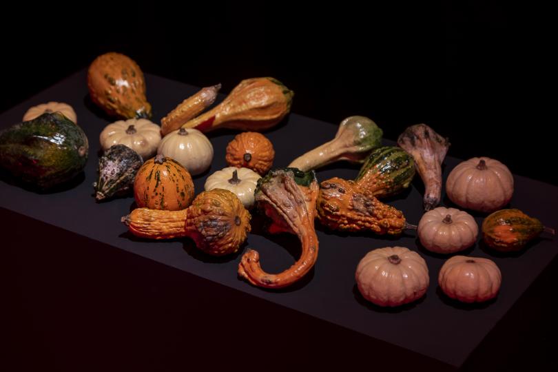 Giuliana Racco, Revelando