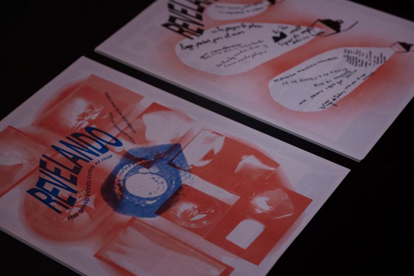 Giuliana Racco, Revelando