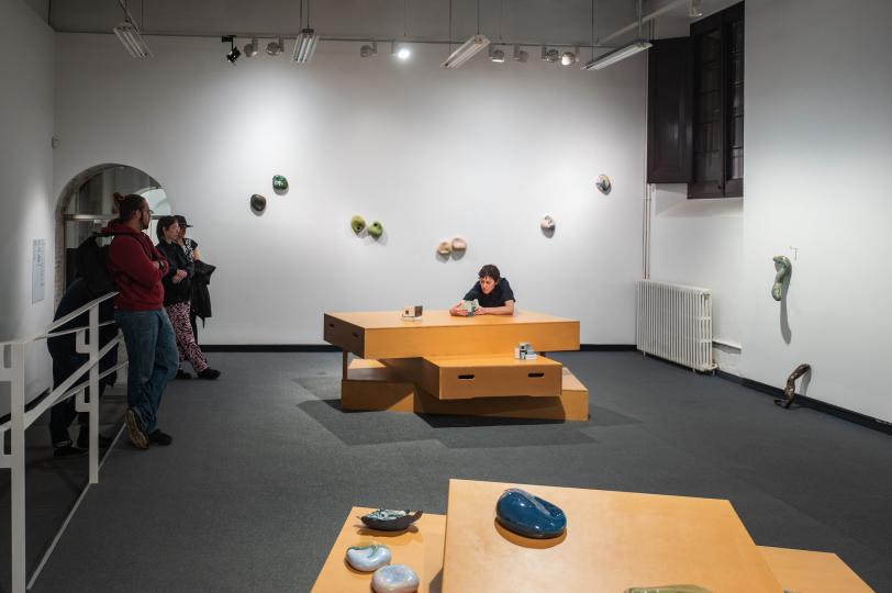 Tamara Kuselman, Archivo de emociones difíciles