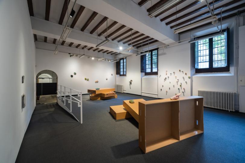 Tamara Kuselman, Archivo de emociones difíciles