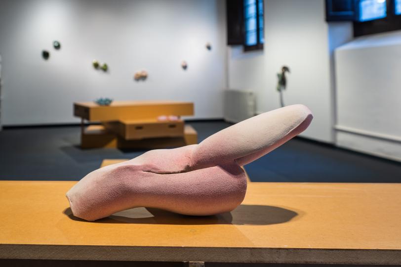 Tamara Kuselman, Archivo de emociones difíciles