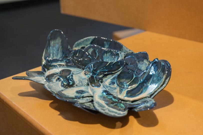 Tamara Kuselman, Archivo de emociones difíciles