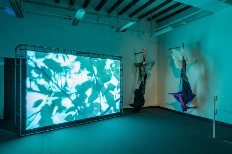 Marta van Tartwijk, Parpella