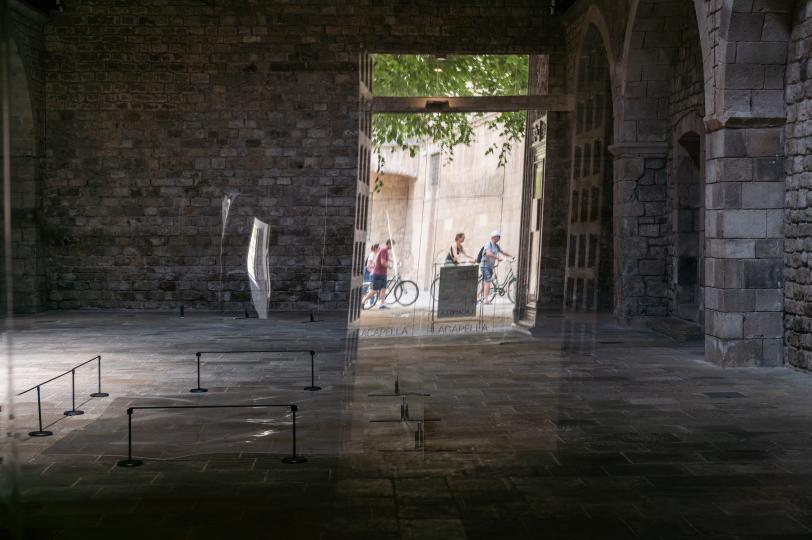 Sofía Montenegro, Maquinal