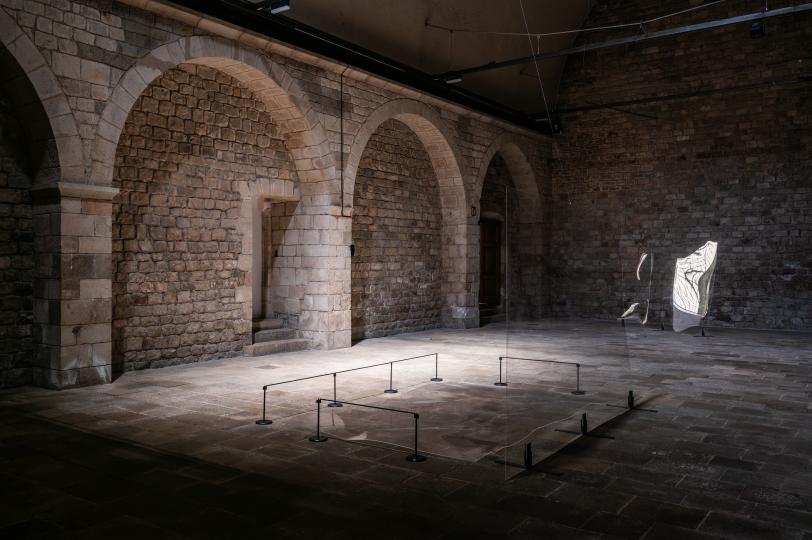 Sofía Montenegro, Maquinal