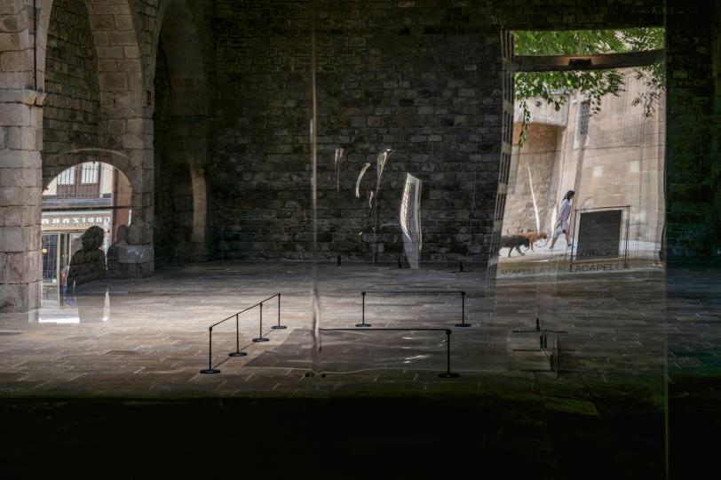 Sofía Montenegro, Maquinal