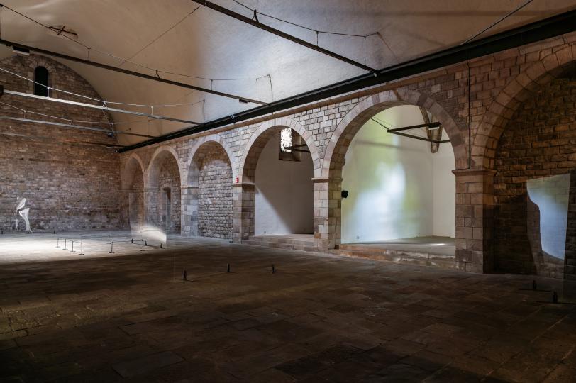 Sofía Montenegro, Maquinal