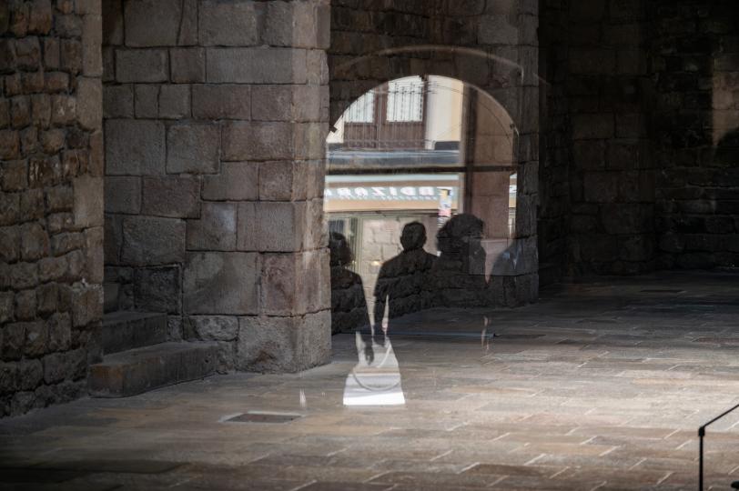 Sofía Montenegro, Maquinal